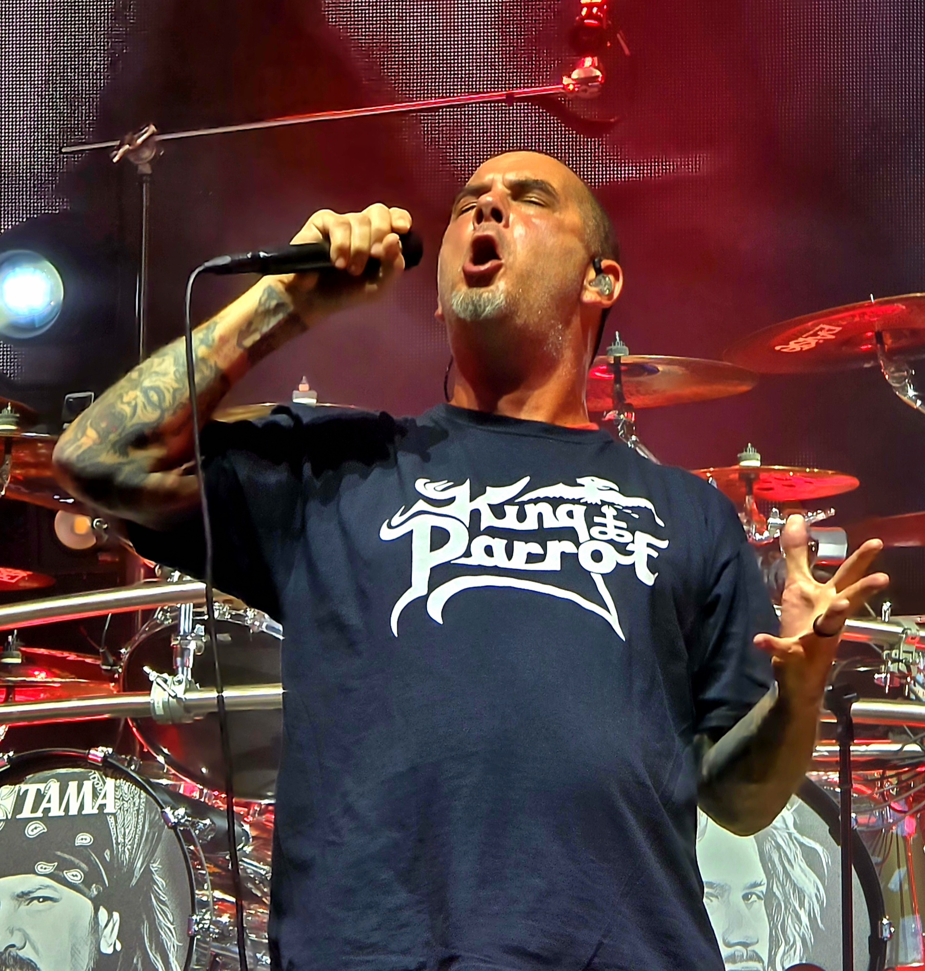 Pantera